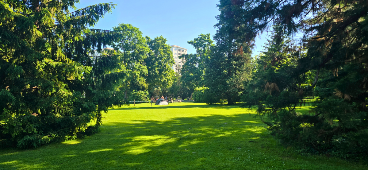 Grüne Wiese mit Sitzbänken im Kannenfeldpark