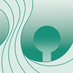 p + b baurealisation