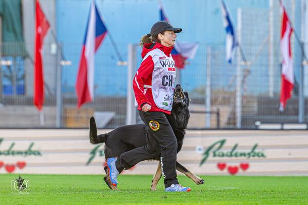 DUKE'S Hundeschule