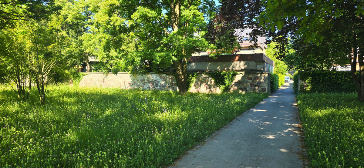 Rosengarten im Kannenfeldpark Basel