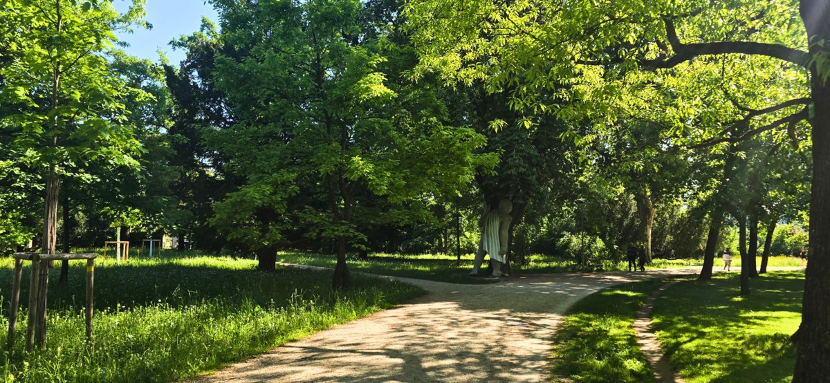 Weg entlang des Teichs im Kannenfeldpark