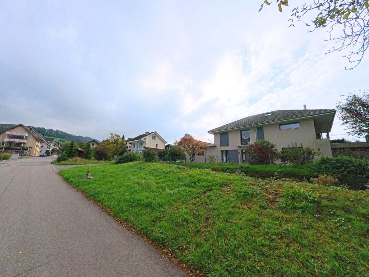 Wohnhäuser mit Gärten liegen an einer leicht ansteigenden Strasse in Aesch (6287, Kanton Luzern) unter bewölktem Himmel.