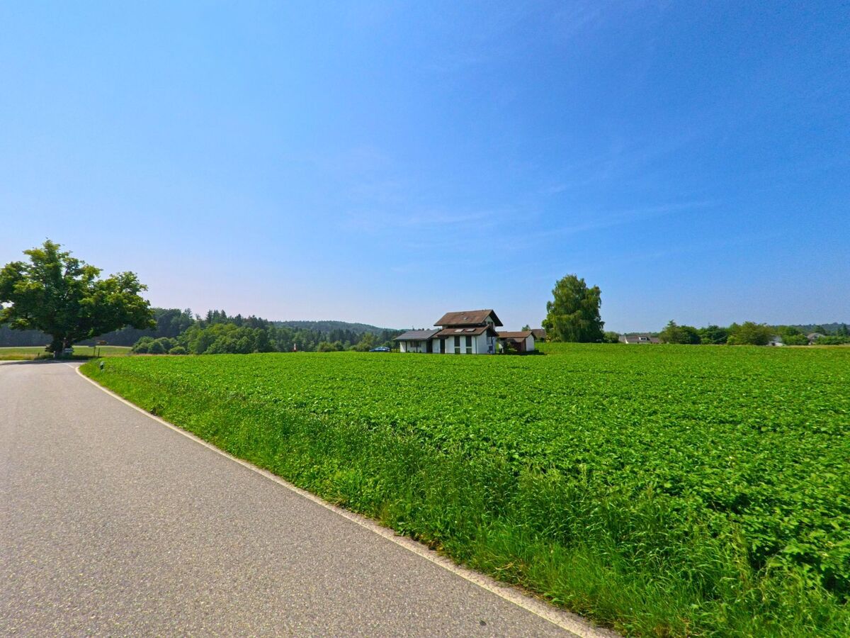 In Aeschi (4556, Kanton Solothurn) windet sich eine schmale Strasse an einem alleinstehenden Haus vorbei, das von weiten Feldern und einzelnen Baeumen umgeben ist.
