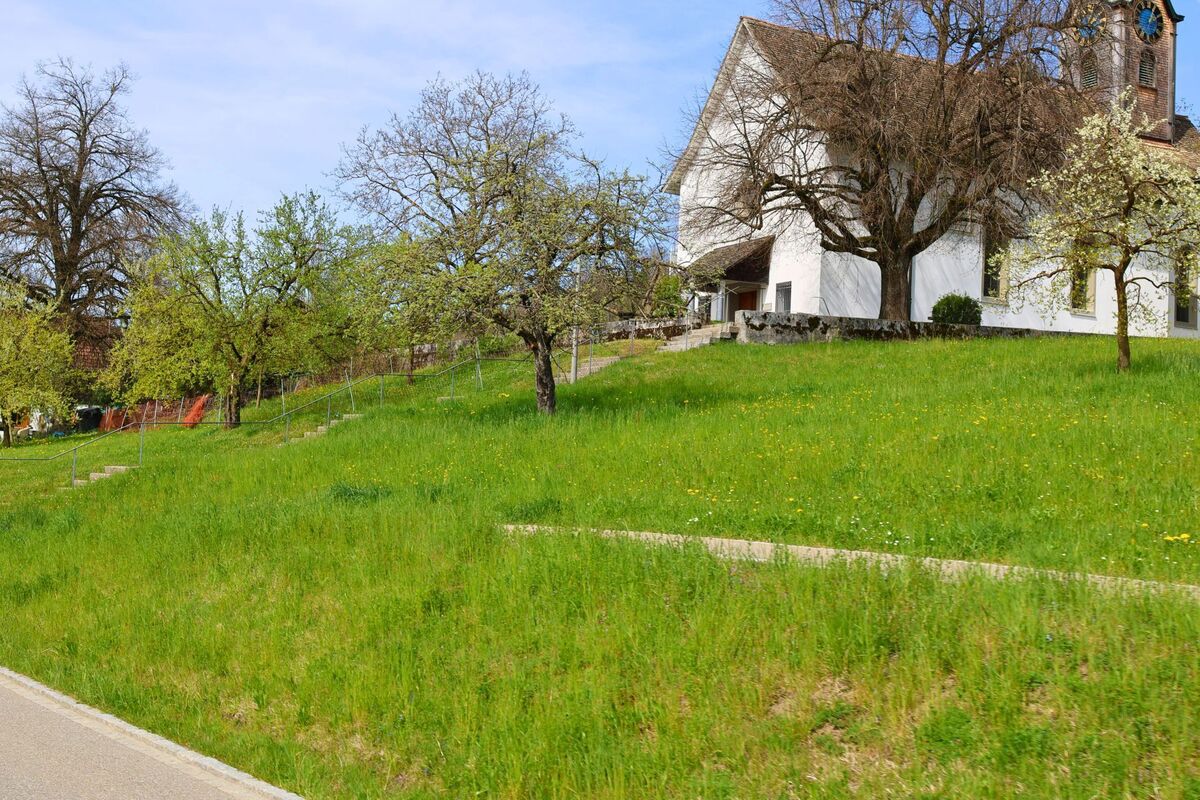 Auf einer Anhöhe in Aeugst am Albis, PLZ 8914 im Kanton Zürich, steht eine weisse Kirche mit Turmuhr umgeben von blühenden Obstbäumen und einer weitläufigen Frühlingswiese.