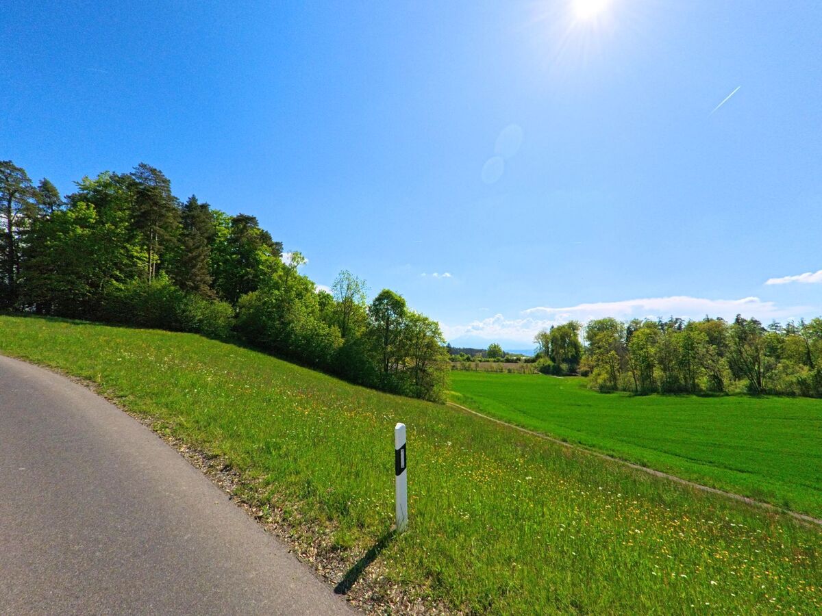 Eine Landstrasse schlängelt sich durch die grüne Hügellandschaft von Aeugst am Albis, PLZ 8914 im Kanton Zürich, vorbei an Wiesen und Waldrändern unter strahlender Frühlingssonne.