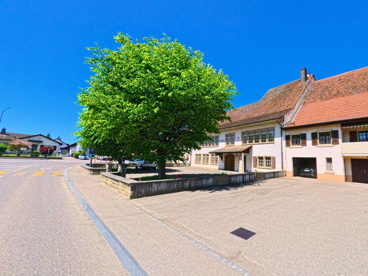 In Alle (2942, Kanton Jura) stehen historische Gebäude mit grossen Fenstern und Holztoren an einem weitläufigen Platz, beschattet von einem grossen Baum.