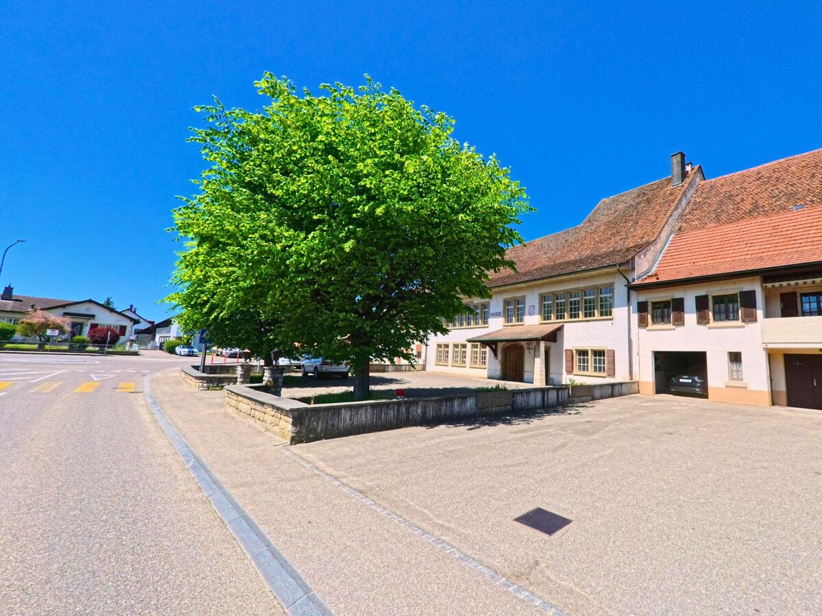 In Alle (2942, Kanton Jura) stehen historische Gebäude mit grossen Fenstern und Holztoren an einem weitläufigen Platz, beschattet von einem grossen Baum.