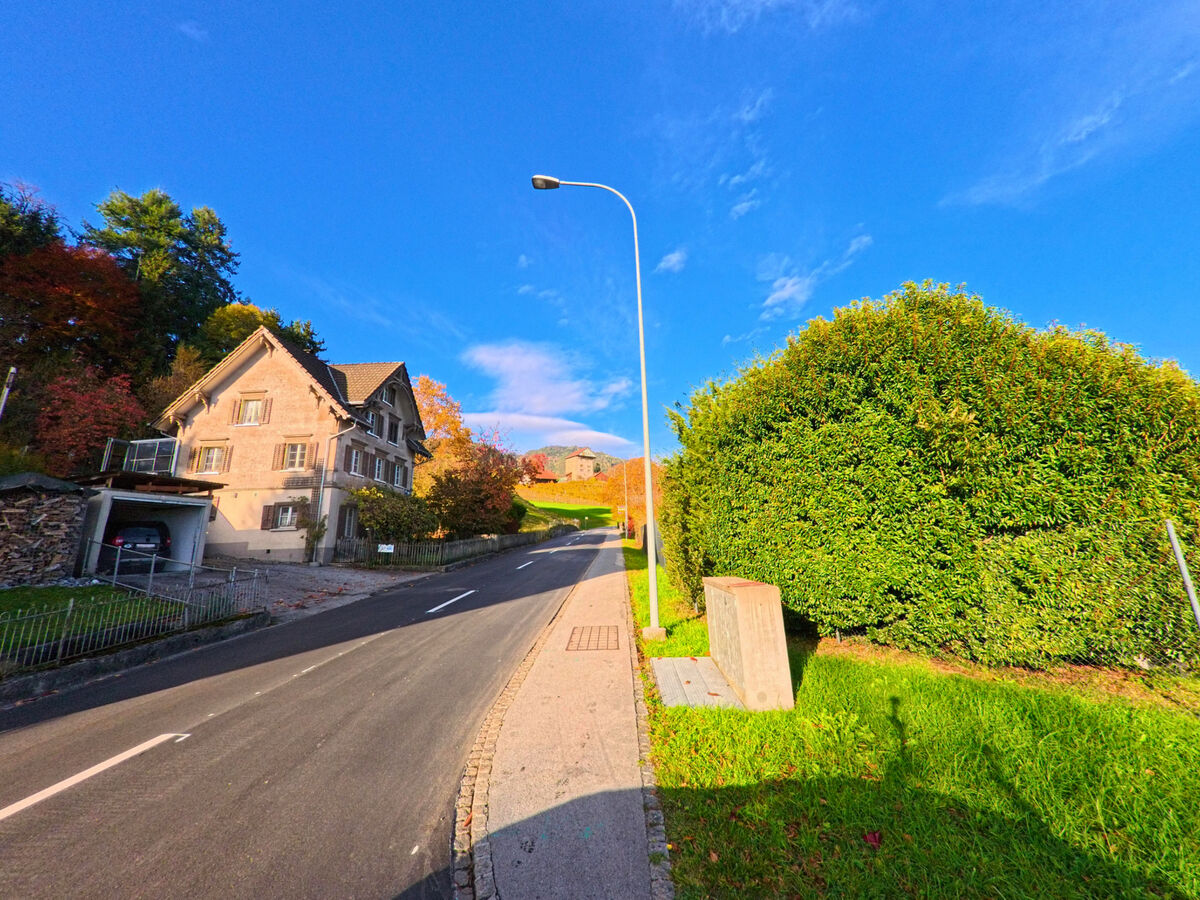 Eine ruhige Wohnstrasse mit Einfamilienhaeusern erstreckt sich am Rand von Altstaetten (9450, Kanton St. Gallen) unter klarem Himmel.
