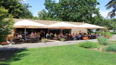In Pregny-Chambesy (1292, Kanton Genf) bietet das Restaurant Amarante eine grosszuegige Terrasse mit Sonnenschirmen und zahlreichen Gaesten im Gruenen.