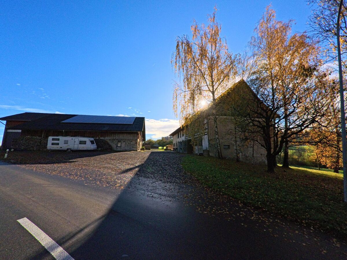 Zwischen landwirtschaftlichen Gebaeuden und herbstlich gefaerbten Baeumen oeffnet sich eine Hofzufahrt in Amlikon-Bissegg (8514, Kanton Thurgau) bei tief stehender Sonne.