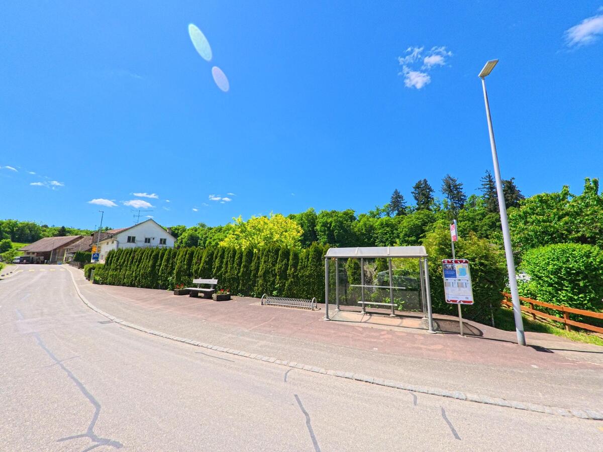 An einer ruhigen Dorfstrasse in Damphreux (2933, Kanton Jura) befindet sich eine Bushaltestelle mit Wartehäuschen, Sitzbank und Fahrplan neben hohen Hecken und Wohnhäusern.
