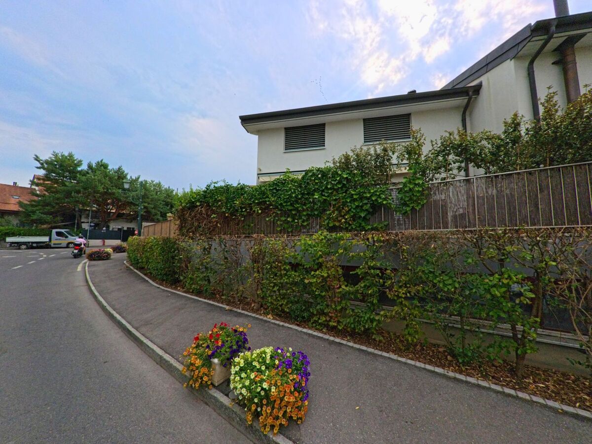Bunte Blumenkuebel am Strassenrand schmuecken eine Wohnstrasse in Anieres (1247, Kanton Genf) vor modernen Haeusern.