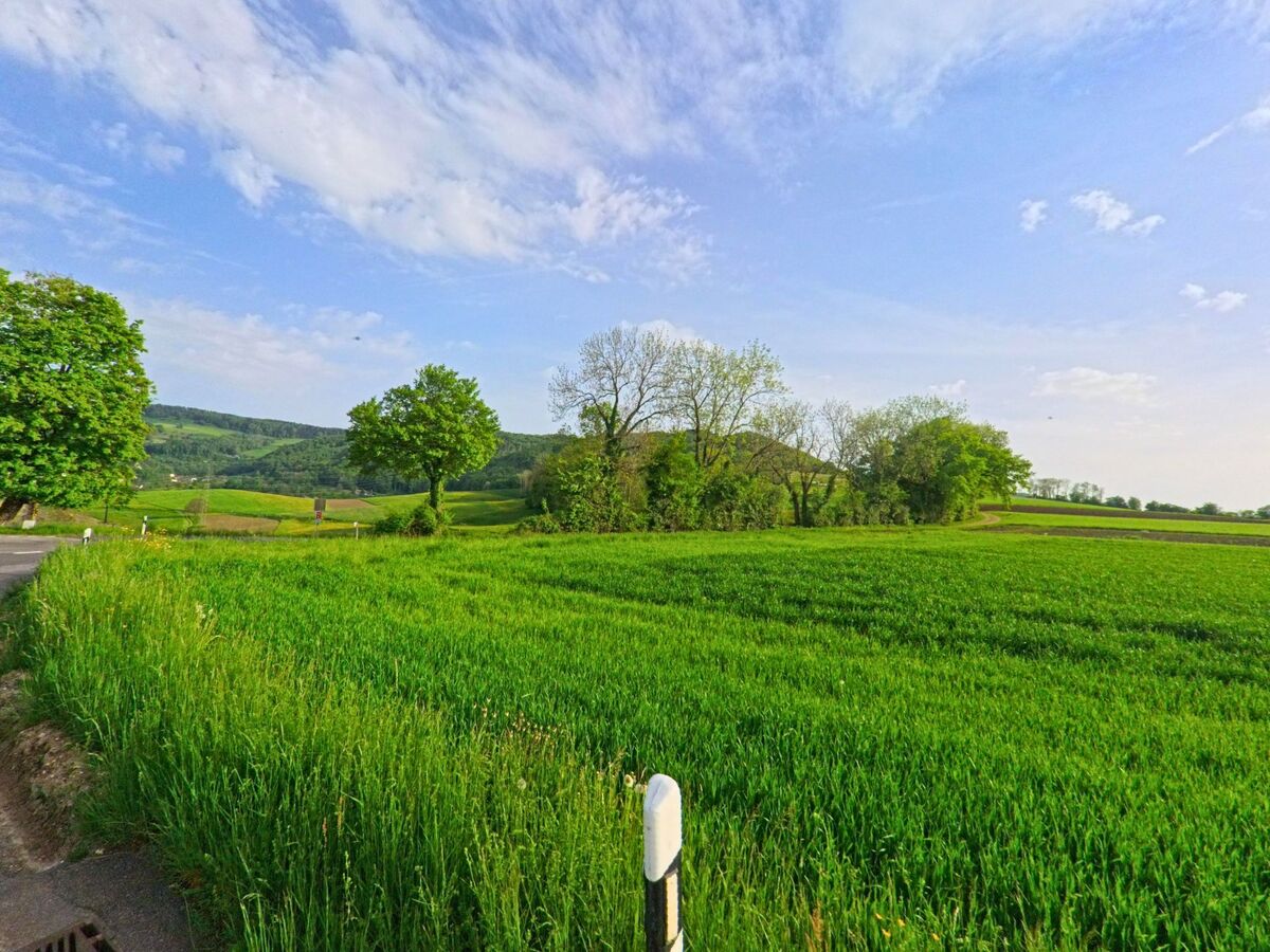 In Anwil (PLZ 4469, Kanton Basel-Landschaft) breitet sich ein sattgrünes Feld mit vereinzelten Bäumen vor bewaldeten Hügeln unter leicht bewölktem Himmel aus.