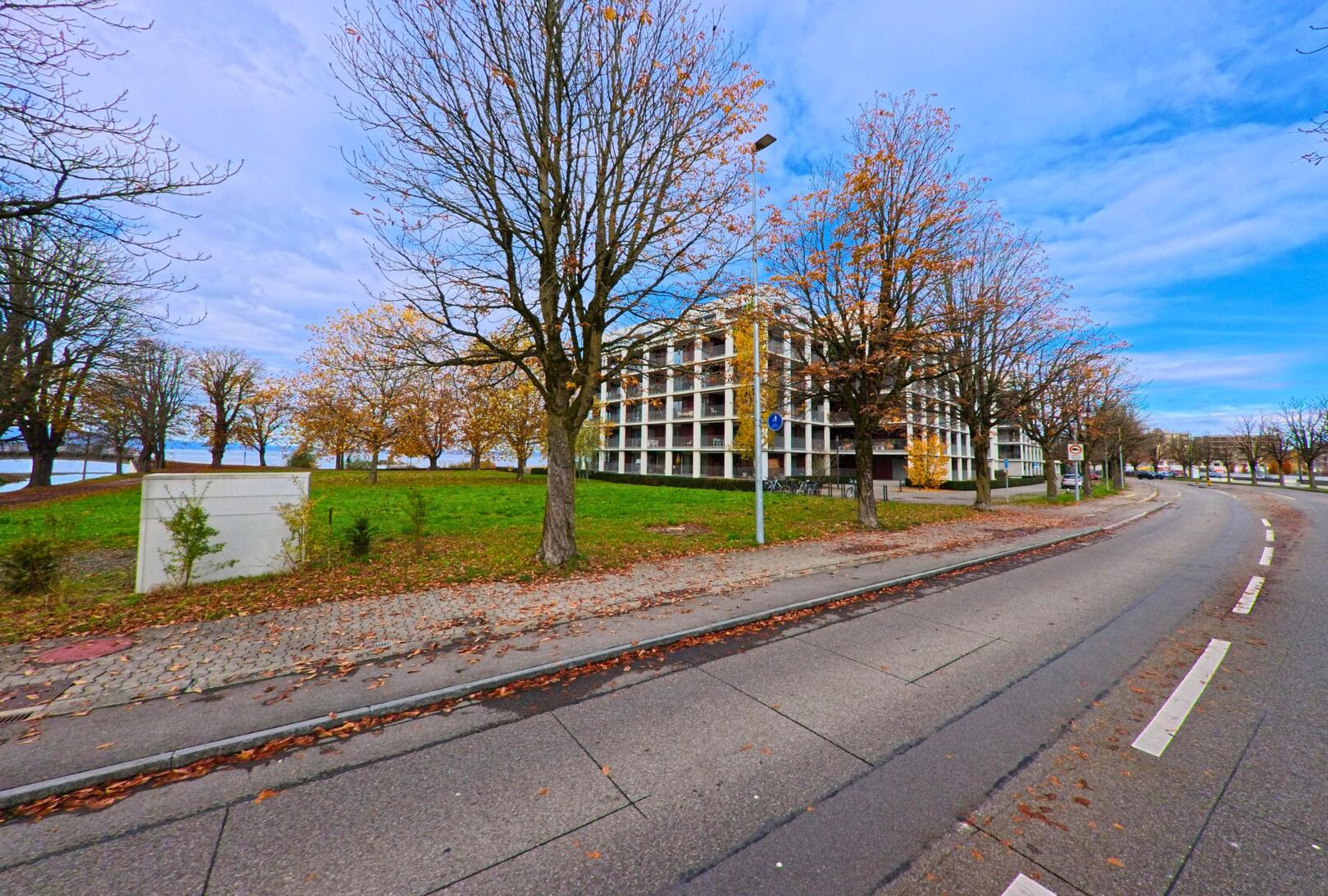 Entlang einer ruhigen Strasse in Arbon (9320, Kanton Thurgau) stehen herbstliche Baeume neben einer Wohnueberbauung nahe einer Gruenflaeche.