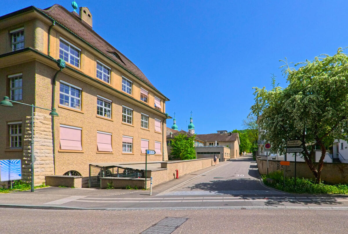 arlesheim_4144_weg_zu_kirchtuermen.jpg