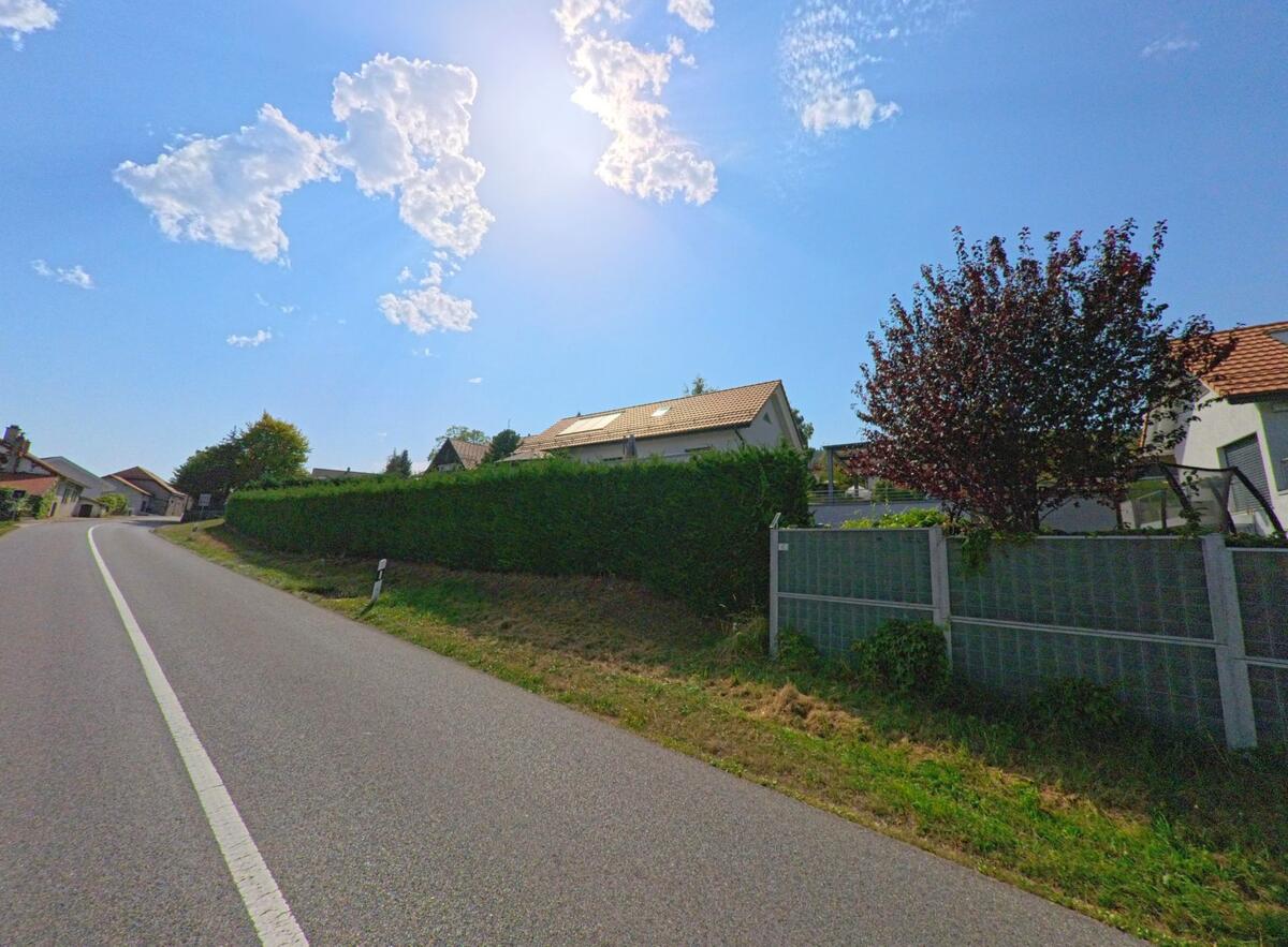 An einer sonnigen Strasse in Arzier-Le Muids (1273, Kanton Waadt) stehen Einfamilienhaeuser hinter gepflegten Hecken.