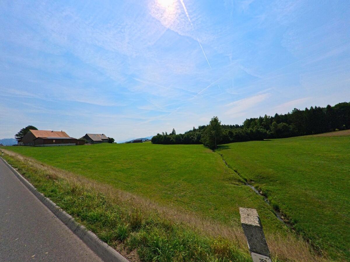 Weite Wiesen mit einem schmalen Bachlauf prägen die offene Landschaft bei Auboranges (1673, Kanton Freiburg) entlang einer ruhigen Nebenstrasse.