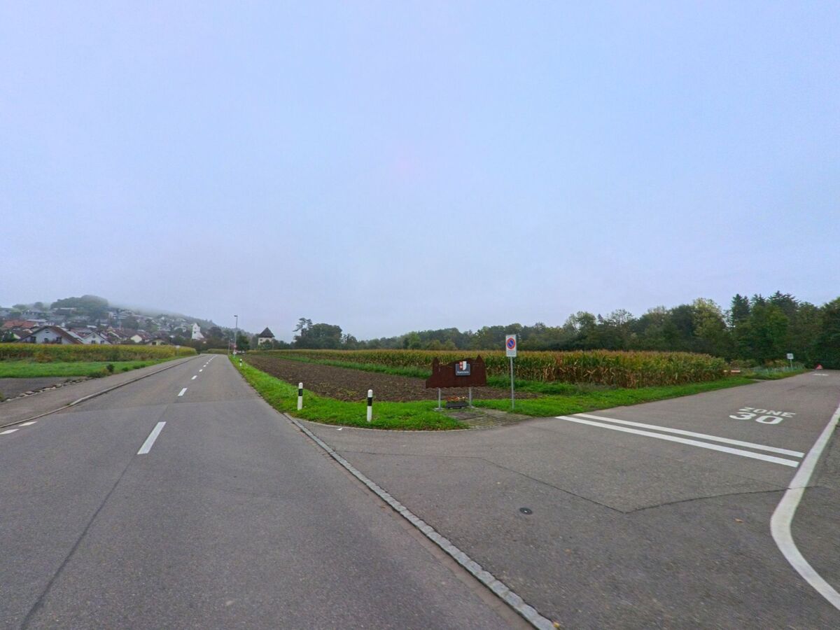 Am Dorfrand von Auenstein (5105, Kanton Aargau) führt eine Strasse zwischen Feldern in Richtung der Kirche und der ersten Häuser des Ortes.