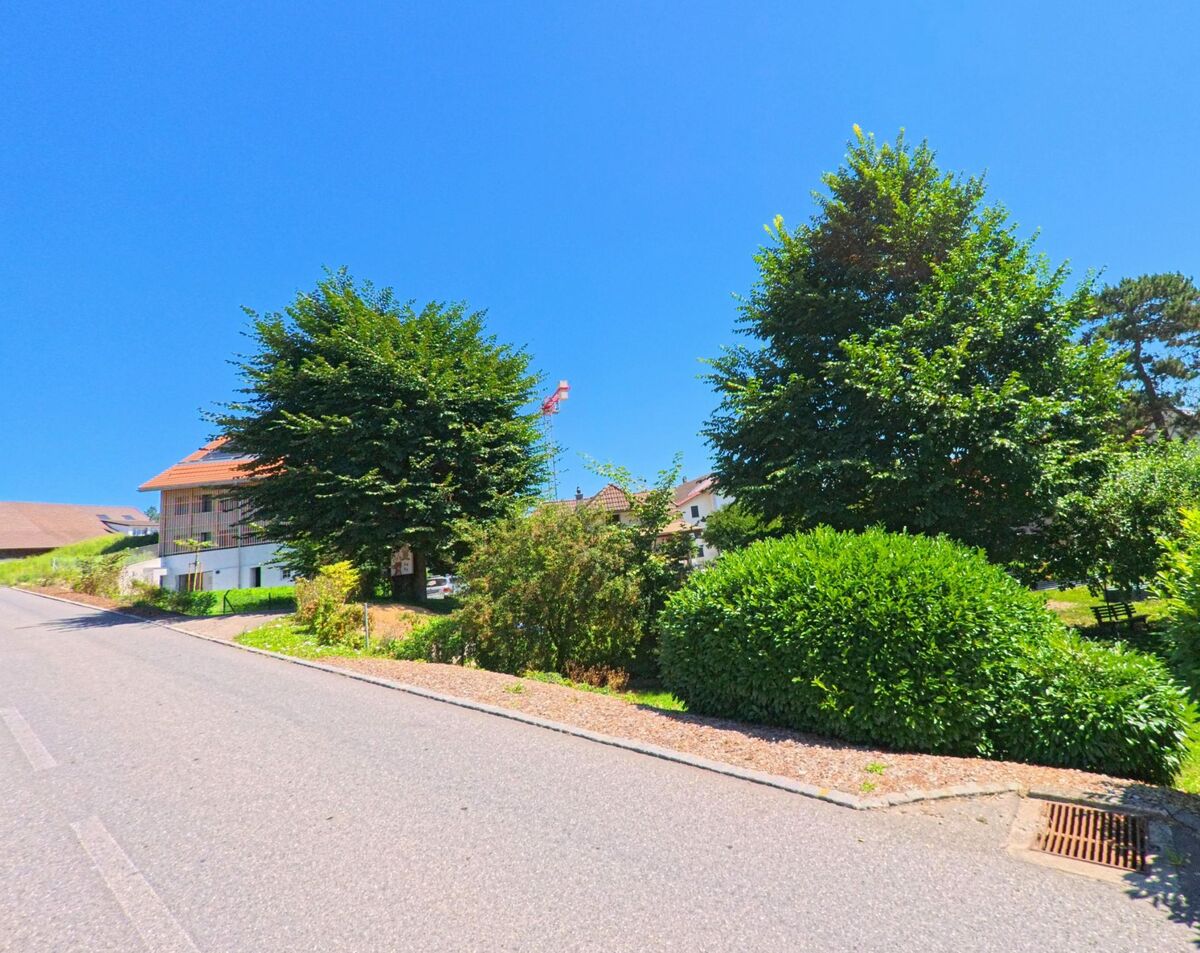 In einer Wohnstrasse von Autigny (1742, Kanton Freiburg) saeumen gepflegte Buesche und Baeume den Weg, waehrend im Hintergrund Haeuser zu sehen sind.