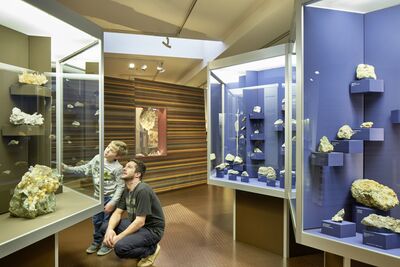 Bündner Naturmuseum