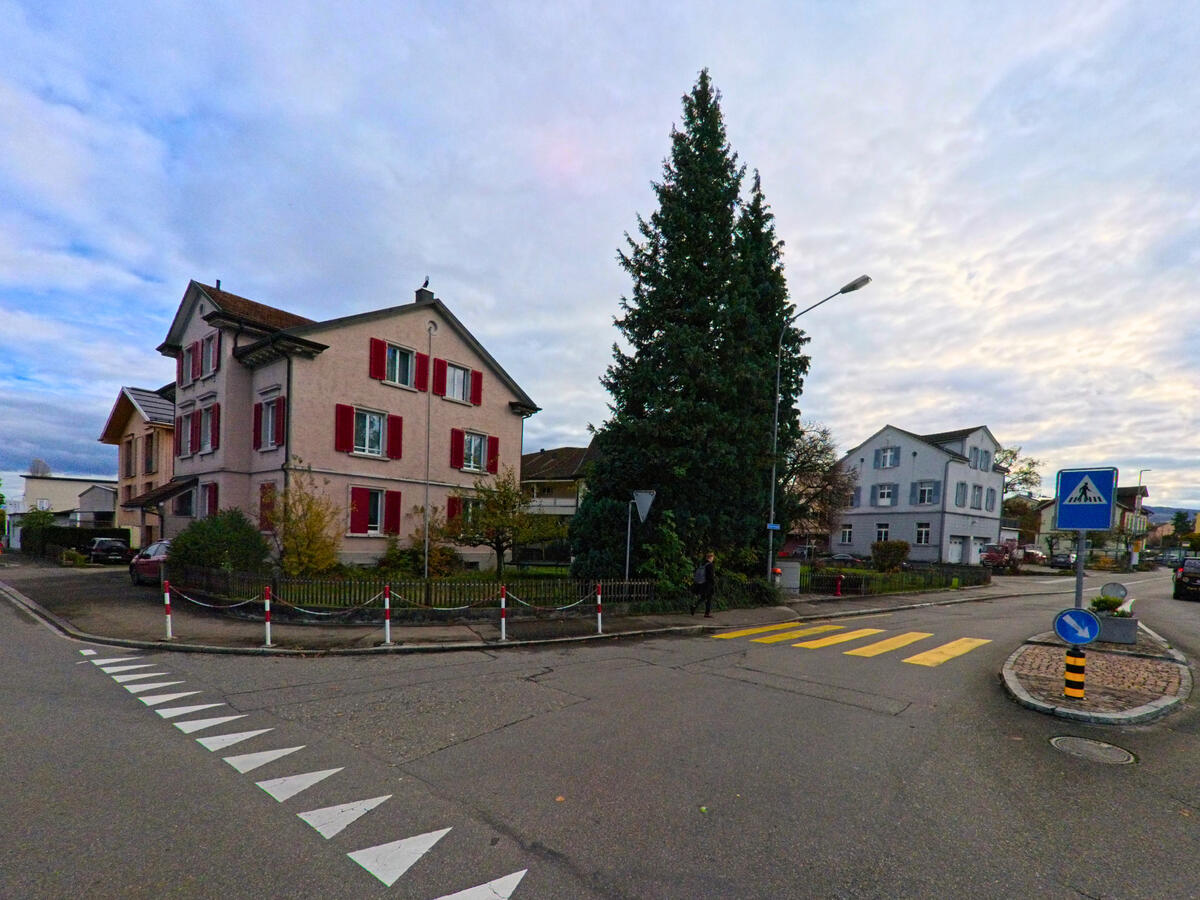 An einer Kreuzung mit Markierungen stehen Wohnhaeuser und ein grosser Baum in Steinach (9323, Kanton St. Gallen).
