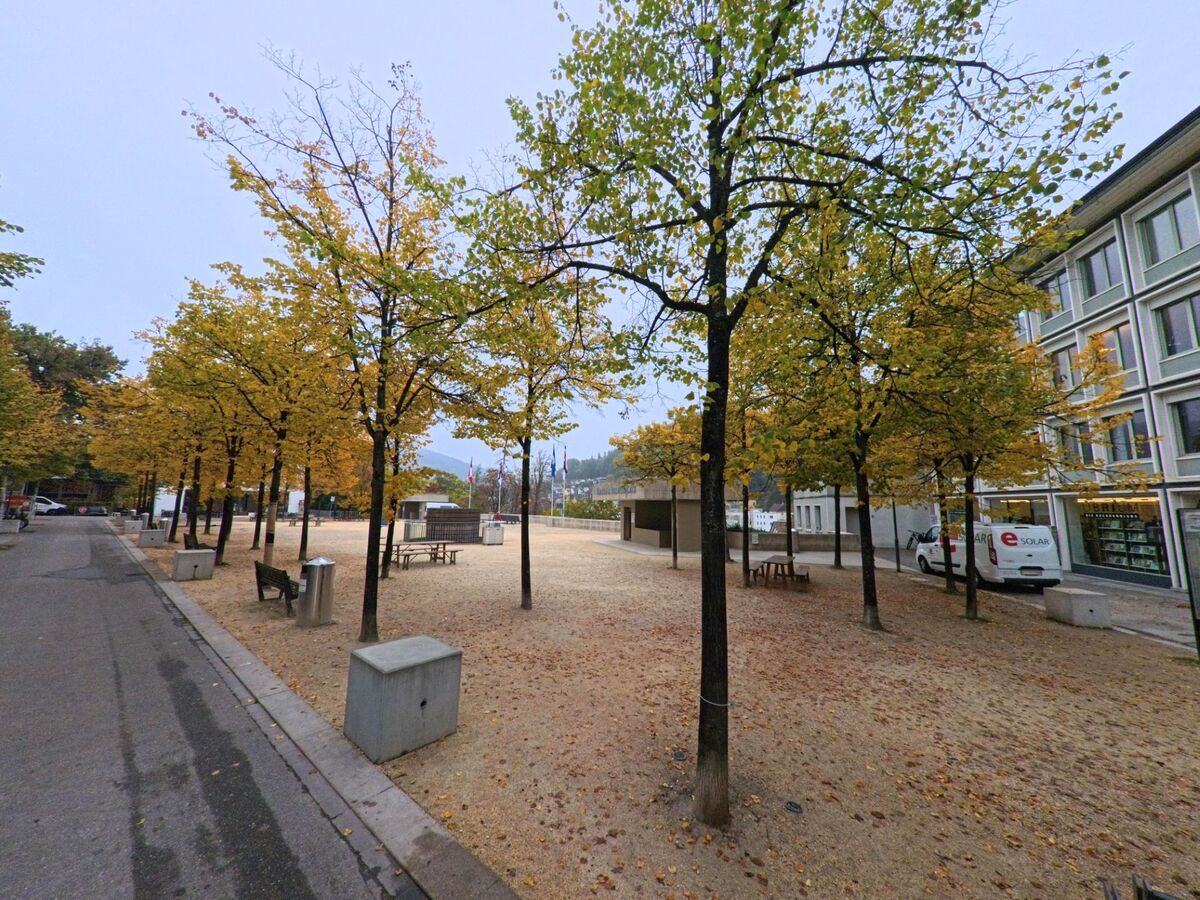 Zwischen regelmaessig gepflanzten Baumen liegt in Baden (5400, Kanton Aargau) ein offener Platz, dessen herbstliche Farben die ruhige Stimmung dieser Ecke von [ORT] praegen.