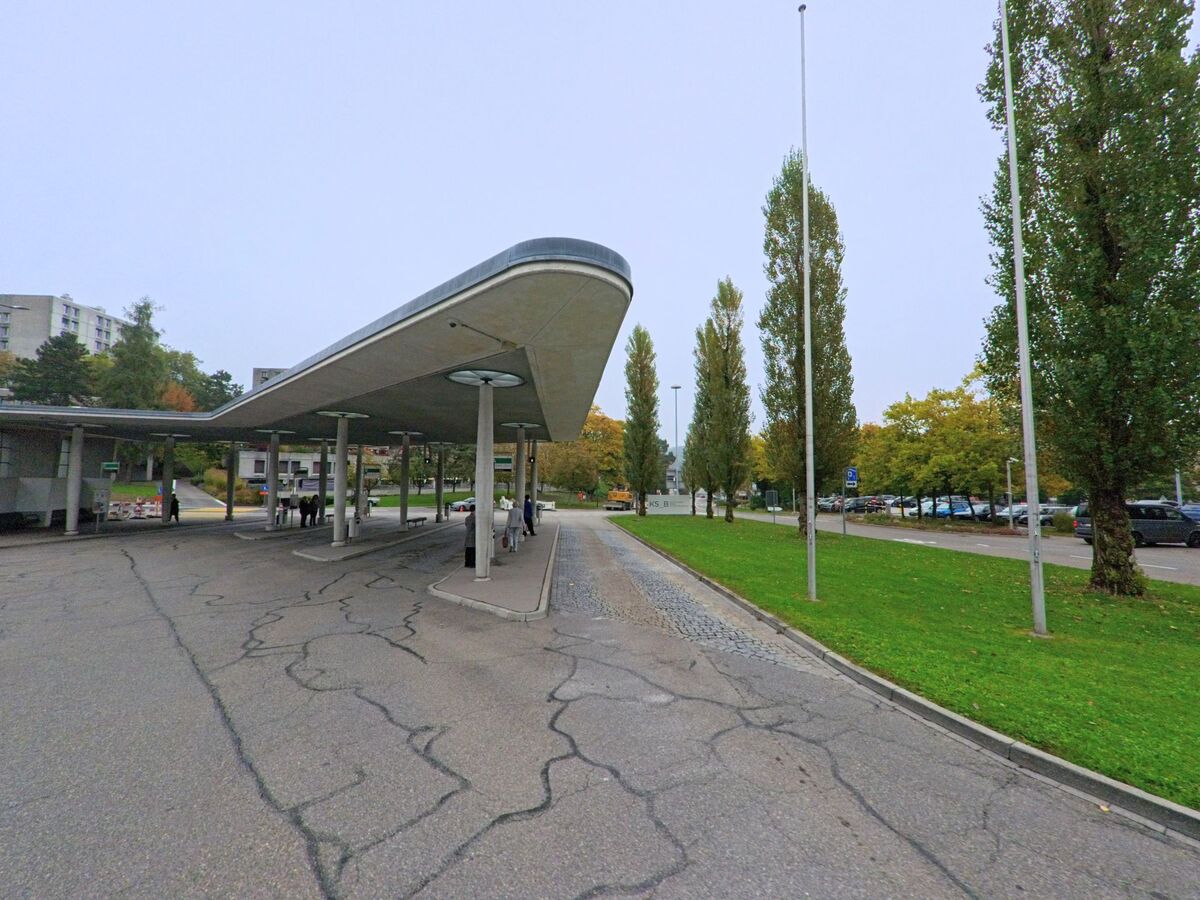 Am Busbahnhof von Baden (5404, Kanton Aargau) stehen wartende Personen unter einem weit auskragenden Dach, waehrend daneben eine Reihe hoher Pappeln aufragt.
