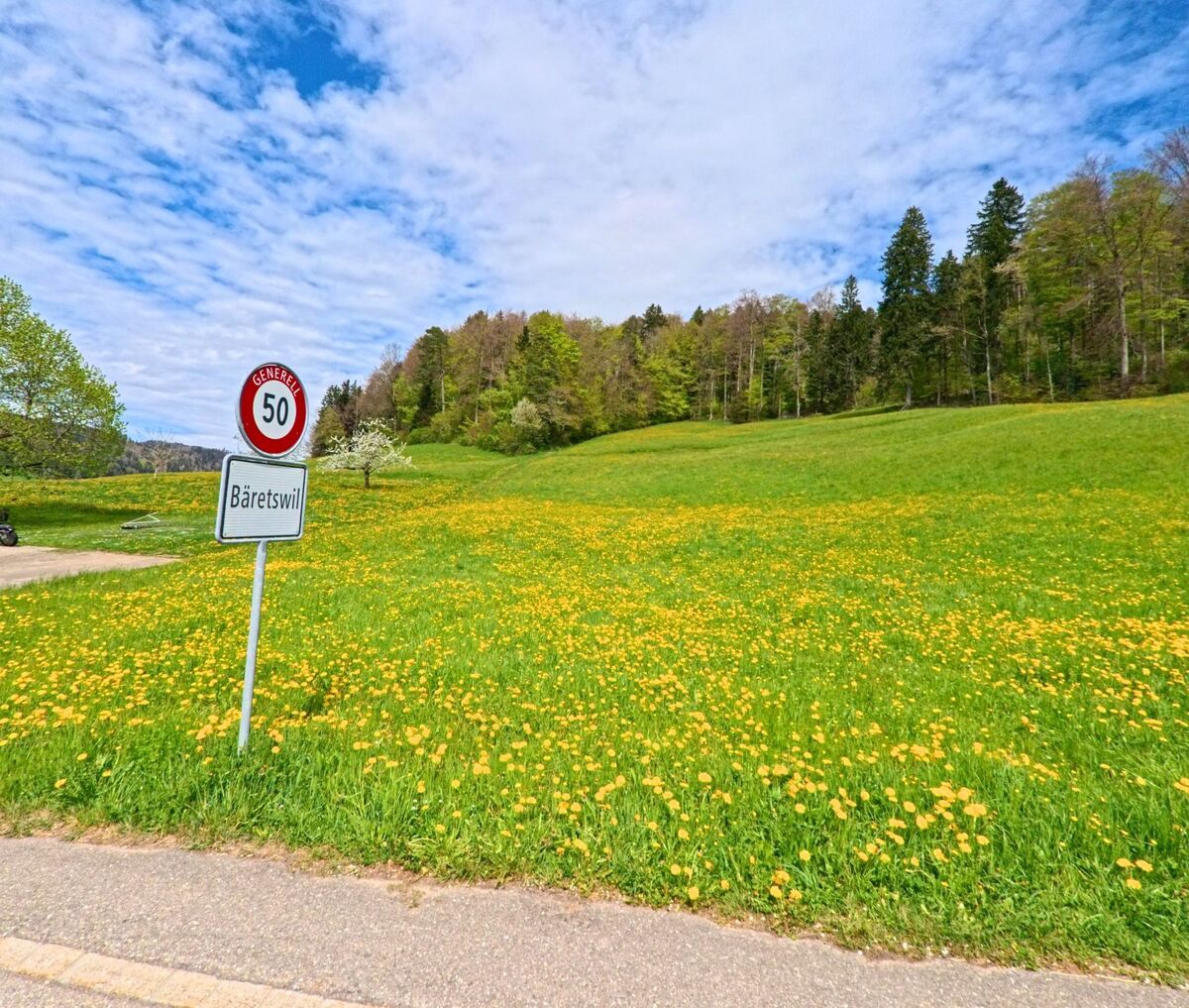 Ein Ortsschild mit Tempobegrenzung markiert den Beginn von Bäretswil im Kanton Zürich, PLZ 8344, neben einer blühenden Frühlingswiese am Waldrand.