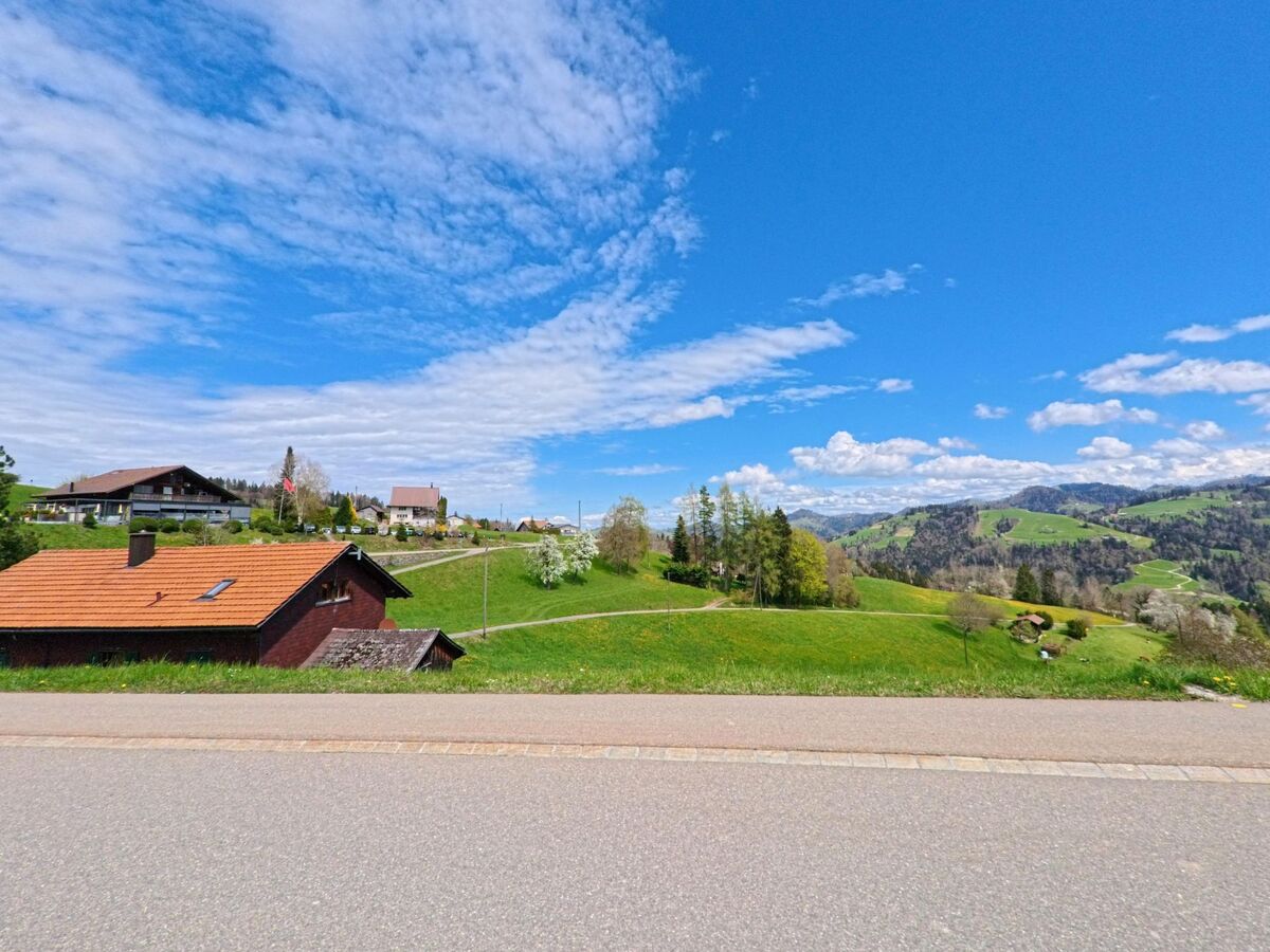 Von einer Strasse in Bäretswil im Kanton Zürich, PLZ 8498, öffnet sich der Blick auf verstreute Wohnhäuser und blühende Bäume mit den Voralpen im Hintergrund.