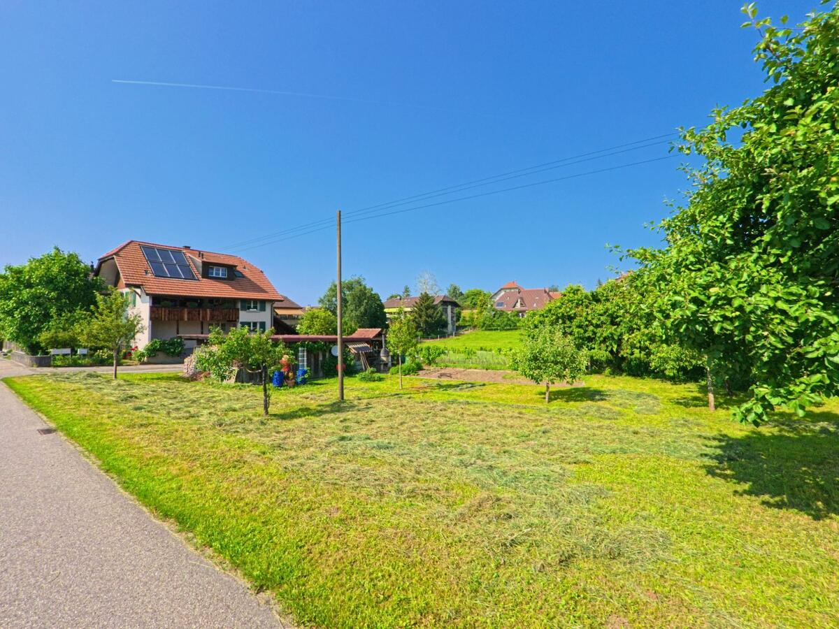 In Bäriswil (3323, Kanton Bern) stehen mehrere Wohnhäuser mit Solarpanels und gepflegten Gärten an einer ruhigen Strasse neben frisch gemähter Wiese.