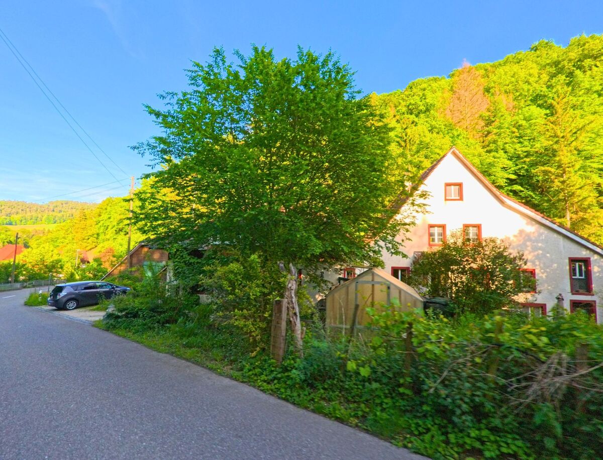 In Bärschwil, PLZ 4252 im Kanton Solothurn, führt eine schmale Strasse am Waldrand entlang vorbei an einem hellen Wohnhaus mit rotem Fensterrahmen.