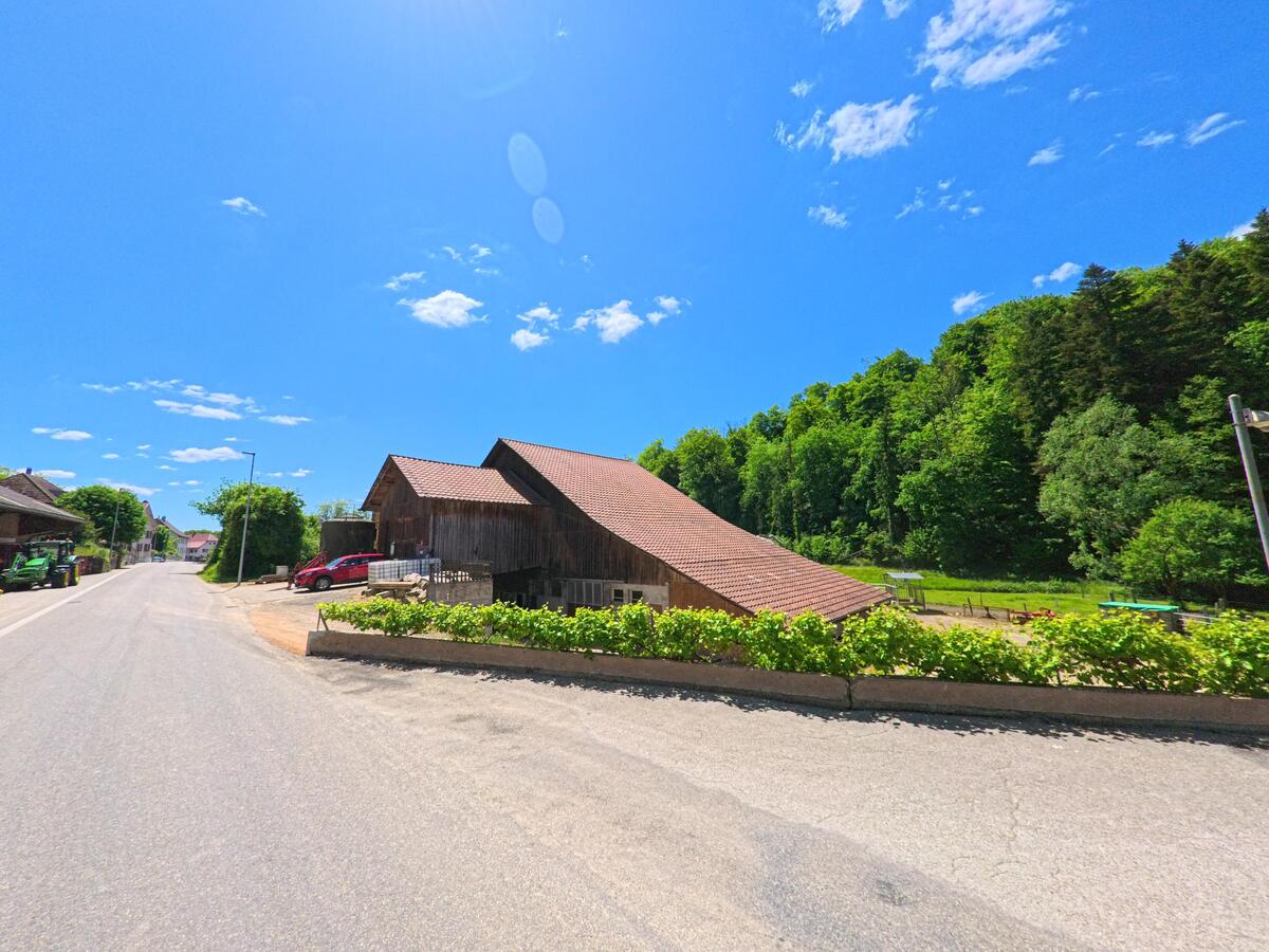 m Rand einer Dorfstrasse in Basse-Vendline (2935, Kanton Jura) steht eine grosse Holzscheune vor einem bewaldeten Hang und angrenzenden Weideflächen.