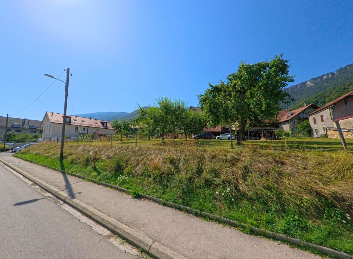 In Baulmes (1446, Kanton Waadt) stehen mehrere Wohnhaeuser mit roten Daechern hinter einer Wiese mit Obstbaeumen, im Hintergrund erhebt sich ein bewaldeter Huegel.