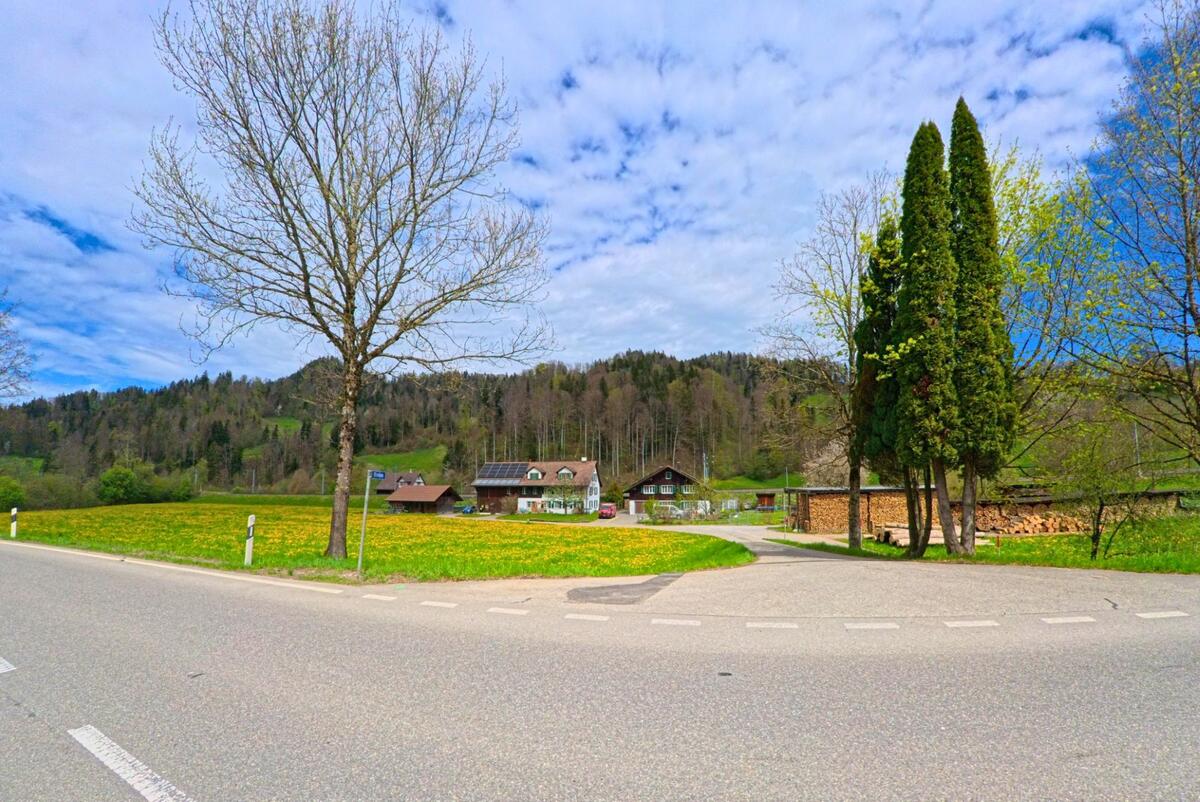 In Bauma im Kanton Zürich, PLZ 8496, führt eine Einmündung durch eine blühende Wiese zu einzelnen Bauernhäusern am Waldrand, mit Holzstapeln und Solaranlage.