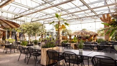 Im Baumschul-Café in Schinznach-Dorf (5107, Kanton Aargau) stehen unter einem grosszügigen Glasdach zahlreiche Tische und Stühle zwischen Palmen und Pflanzen.