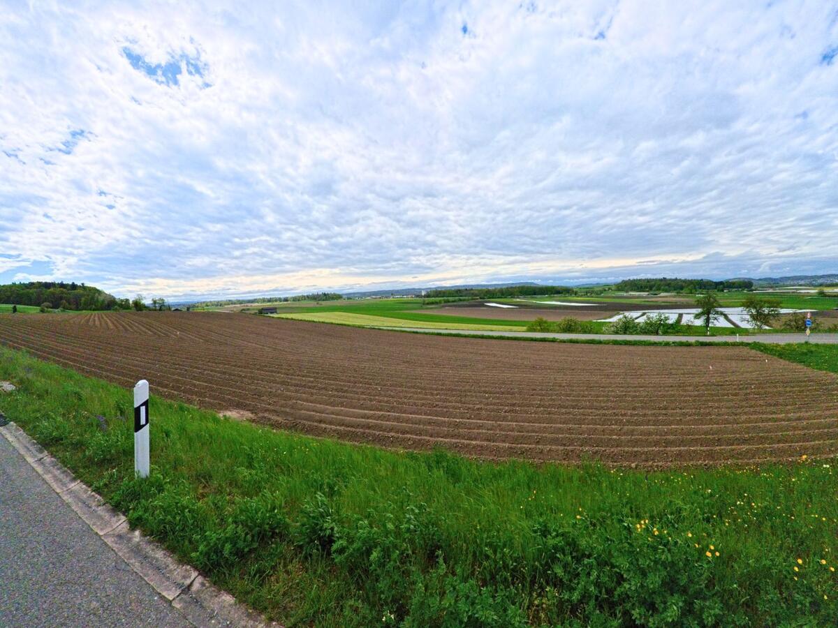 In Benken, PLZ 8463 im Kanton Zürich, erstrecken sich frisch bestellte Äcker neben einem schmalen Feldweg mit Blick auf weite Wiesenflächen und Wasserbecken in der Ferne.
