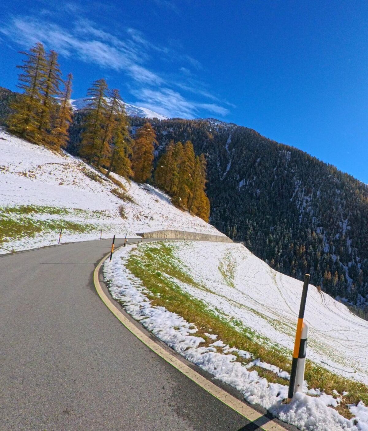 Entlang einer kurvigen Bergstrasse in Bergün_Filisur (7482, Kanton Graubünden) führt die Fahrbahn durch eine verschneite Hanglandschaft mit herbstlich gefärbten Lärchen.