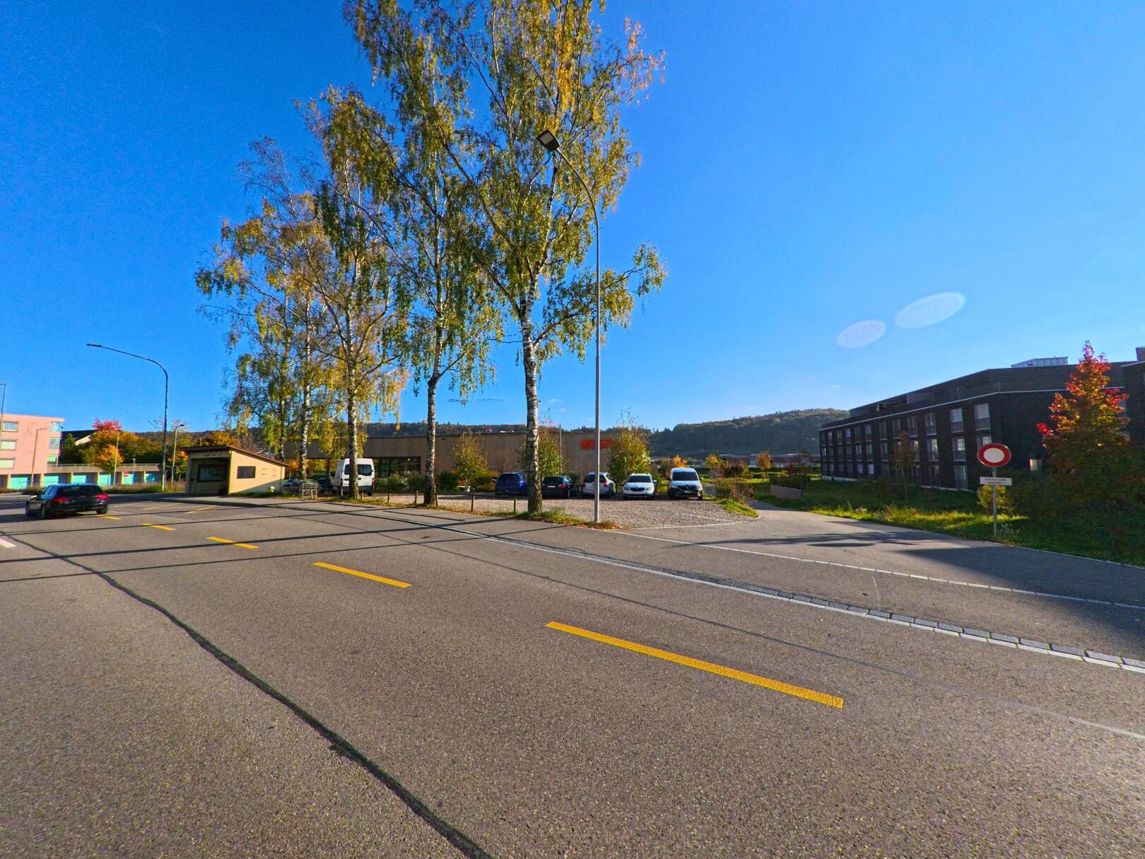 In Beringen (8222, Kanton Schaffhausen) verlaeuft eine breite Strasse entlang von Birkenbaeumen, waehrend im Hintergrund Gewerbebauten und parkende Fahrzeuge zu sehen sind.