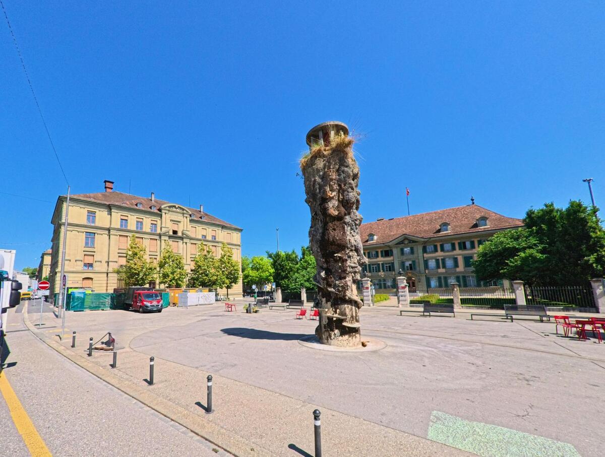 In Bern (3011, Kanton Bern) steht auf einem sonnigen Platz ein ungewöhnlich geformter Baumstamm mit Bewuchs, umgeben von historischen Verwaltungsgebäuden und roten Stühlen.