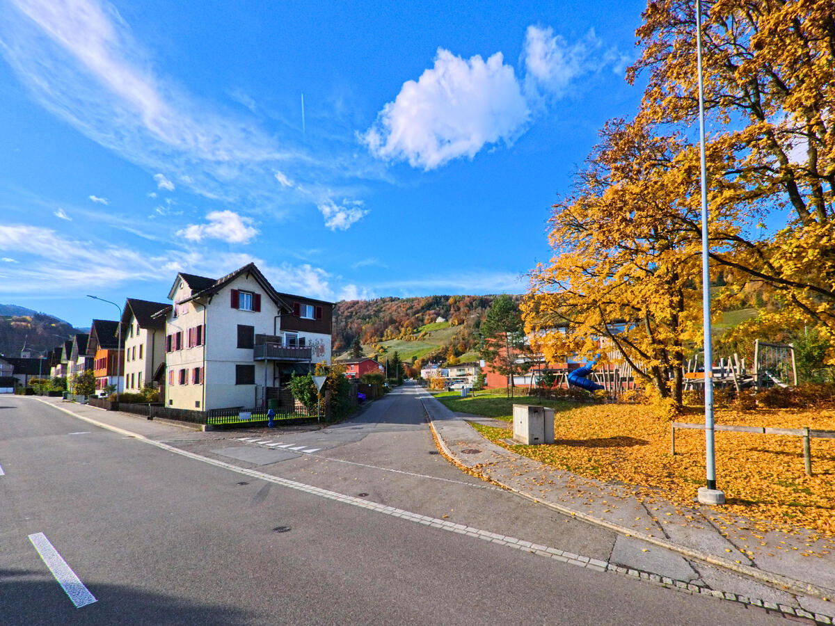 Eine leicht ansteigende Wohnstrasse mit Einfamilienhaeusern fuehrt durch ein Quartier von Berneck (9442, Kanton St. Gallen) bei Herbstlicht.