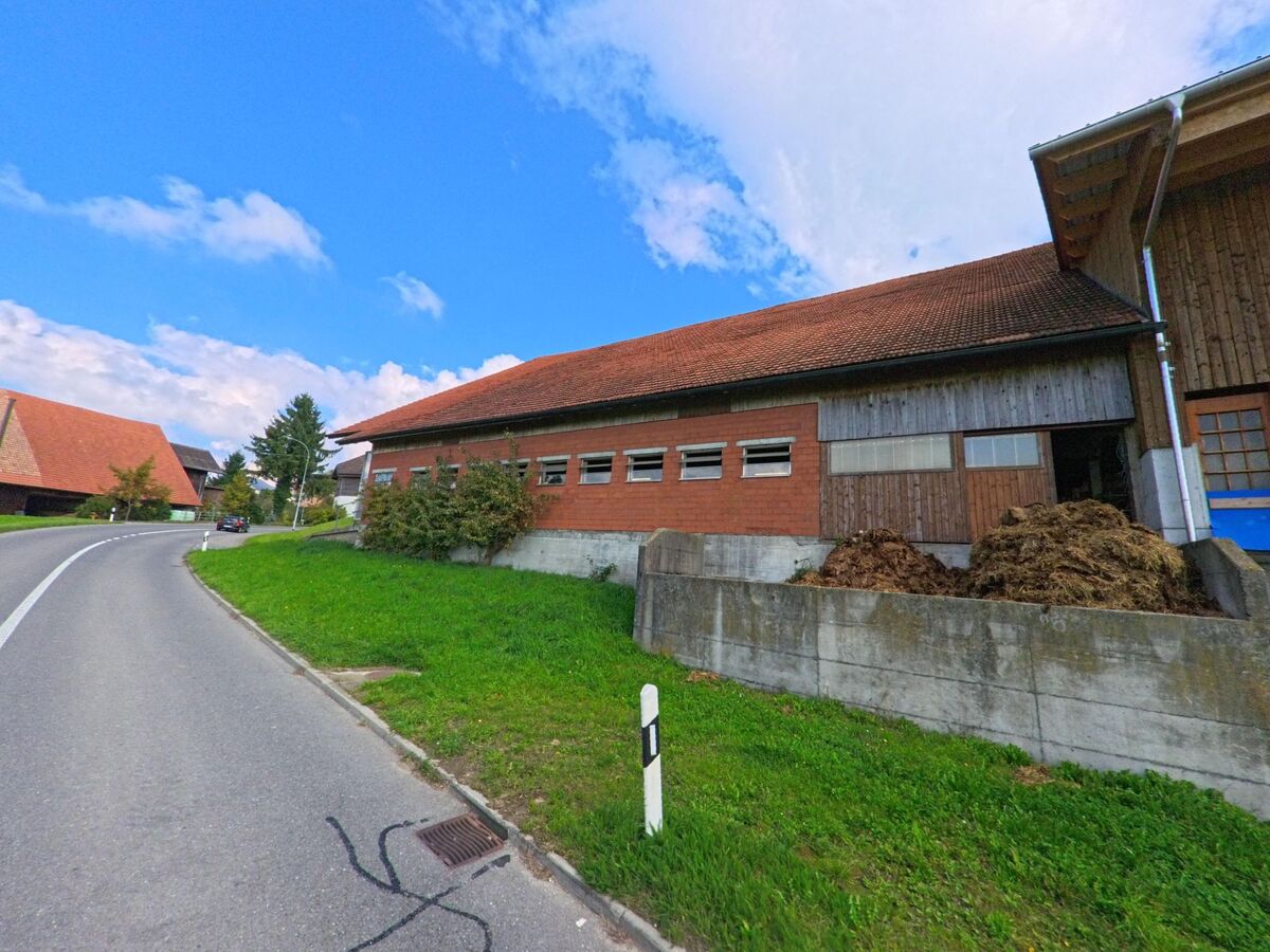 beromuenster_6215_bauernhof_an_kurvenstrasse