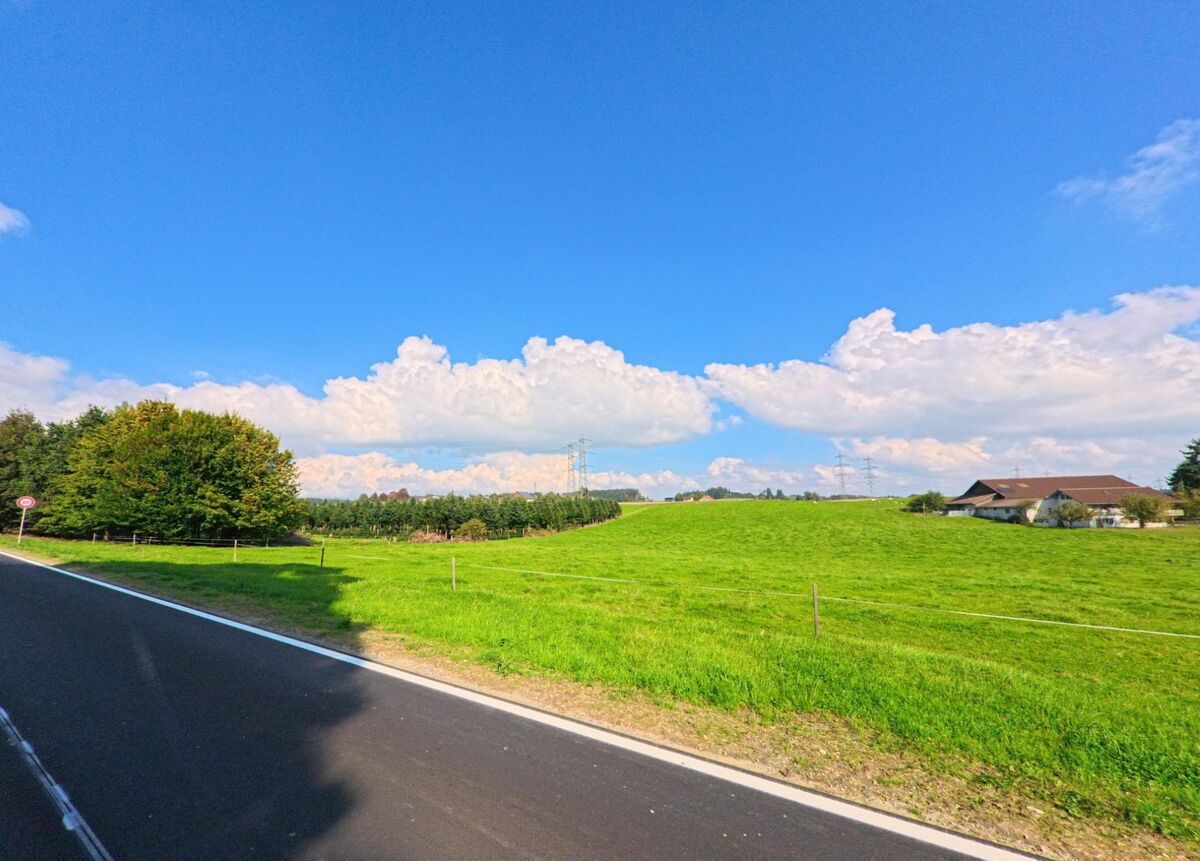 beromuenster_6215_gruenflaechen_mit_bauernhaus