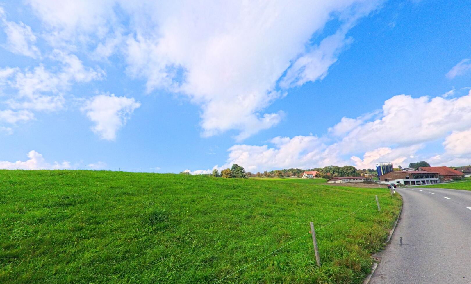 Eine schmale Landstrasse fuehrt in Beromuenster (6215, Kanton Luzern) an weiten gruene Wiesen und landwirtschaftlichen Gebaeuden vorbei.