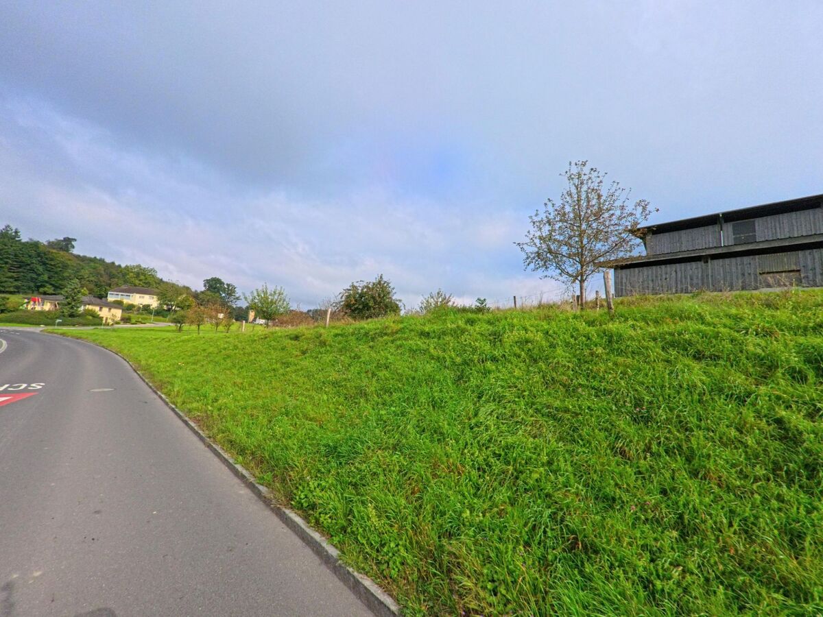 Eine leicht kurvige Strasse führt in Besenbüren (5627, Kanton Aargau) an einer grünen Wiese und einer dunklen Scheune vorbei.