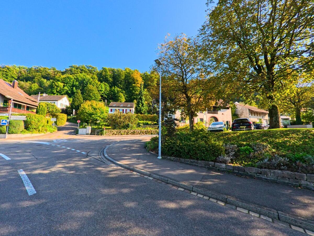 bettingen-4126-kurvige-.jpg