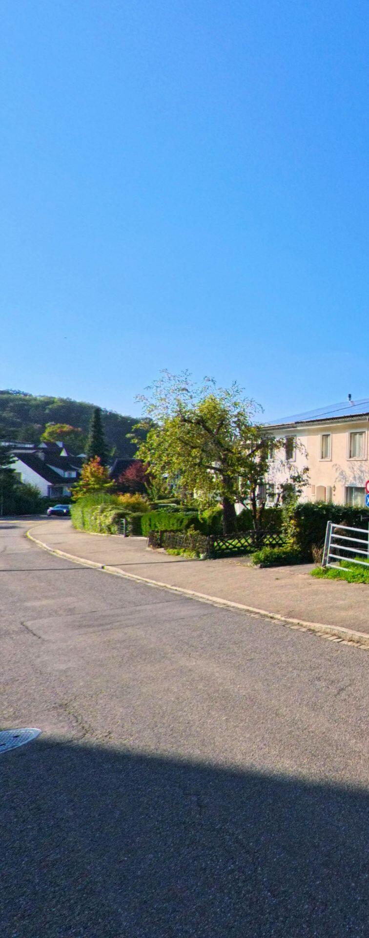 Eine ruhig geschwungene Quartierstrasse in Bettingen (4126, Kanton Basel-Stadt) fuehrt an Einfamilienhaeusern mit gepflegten Gaerten und einzelnen Obstbaeumen vorbei.