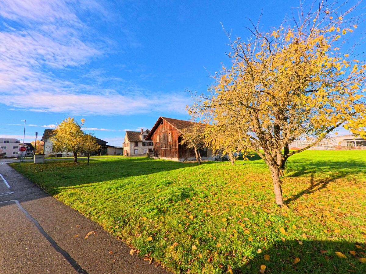 Auf einer grünen Wiese in Bettwiesen (9553, Kanton Thurgau) steht ein rustikales Holzgebäude, umgeben von Bäumen mit herbstlich gefärbtem Laub.