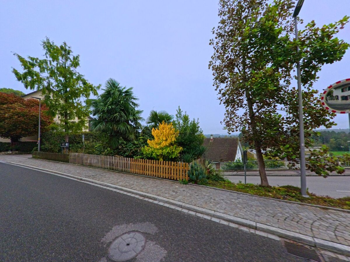 Entlang einer gepflasterten Strasse in Biberstein (5023, Kanton Aargau) steht ein Garten mit Palmen, buntem Laub und einem Holzzaun.