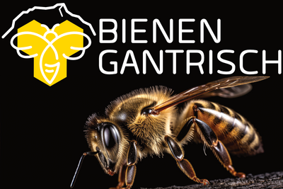 Das Logo von Bienen Gantrisch in Riggisberg [3132] im Kanton Bern zeigt eine stilisierte Biene und eine Nahaufnahme einer Honigbiene vor schwarzem Hintergrund.