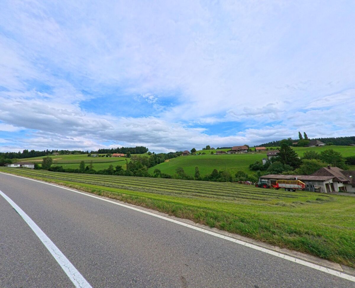  In Biglen (3507, Kanton Bern) verläuft eine Landstrasse oberhalb frisch gemähter Wiesen mit Blick auf verstreute Bauernhöfe und sanfte Hügel.